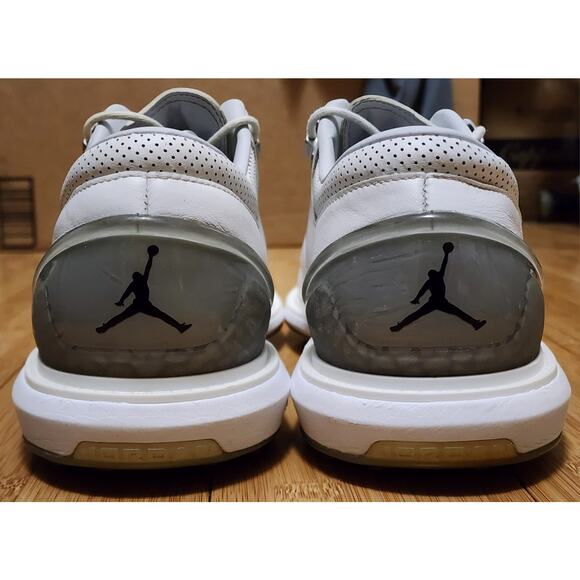 Nike Air Jordan ADG 4 Pure Platinum White Cement Golf Shoe Men's 12 DM0103-105 - Picture 7 of 11